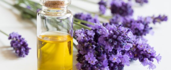 A bottle of essential oil with fresh lavender twigs on a white background